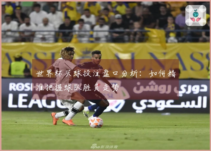 世界杯买球投注盘口分析：如何精准把握球队胜负走势