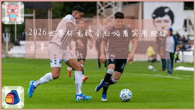 2026世界杯竞猜小白必看实用经验分享