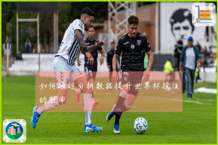 如何通过分析数据提升世界杯投注的胜率