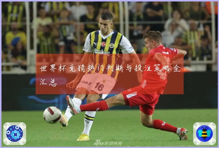 世界杯竞猜热门判断与投注策略全汇总
