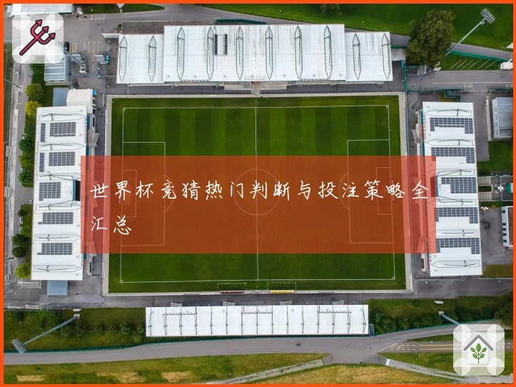 世界杯竞猜热门判断与投注策略全汇总