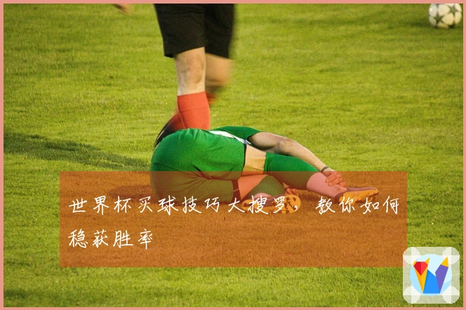 世界杯买球技巧大搜罗，教你如何稳获胜率