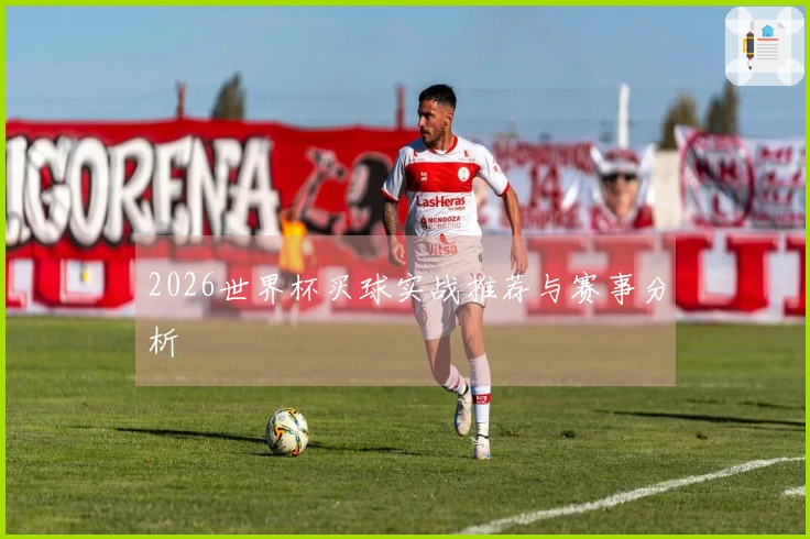 2026世界杯买球实战推荐与赛事分析
